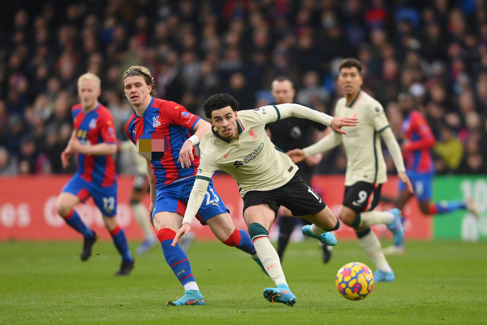 球员必须具 球员必须具